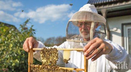 пчеларите разболяват covid