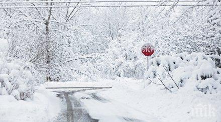 първи сняг петрохан