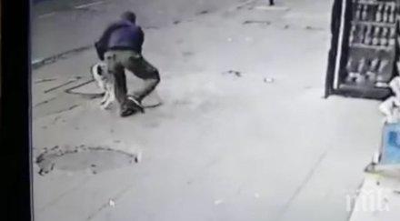 изверг мъж намушка куче столицата