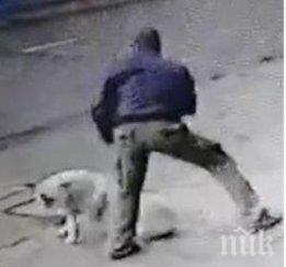 прокуратурата задържа мъж зверството куче