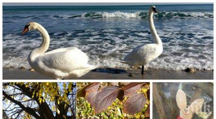 затопляне дневните температури напомнят пролет духа слабо