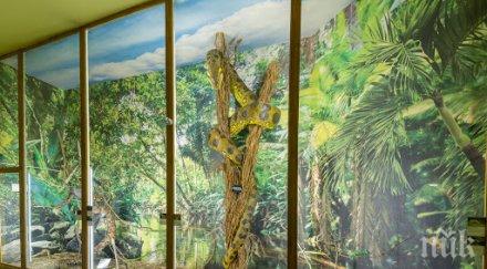 промоция природонаучният музей пловдив пуска без пари деца години