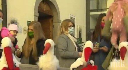 пет сервитьорки австрийска бирария забременяха едно също време