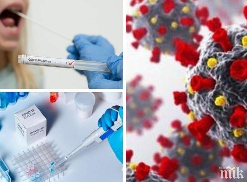 ИЗВЪНРЕДНО В ПИК: 2279 новозаразени с коронавирус в събота при 5729 теста - починалите са 42-ма