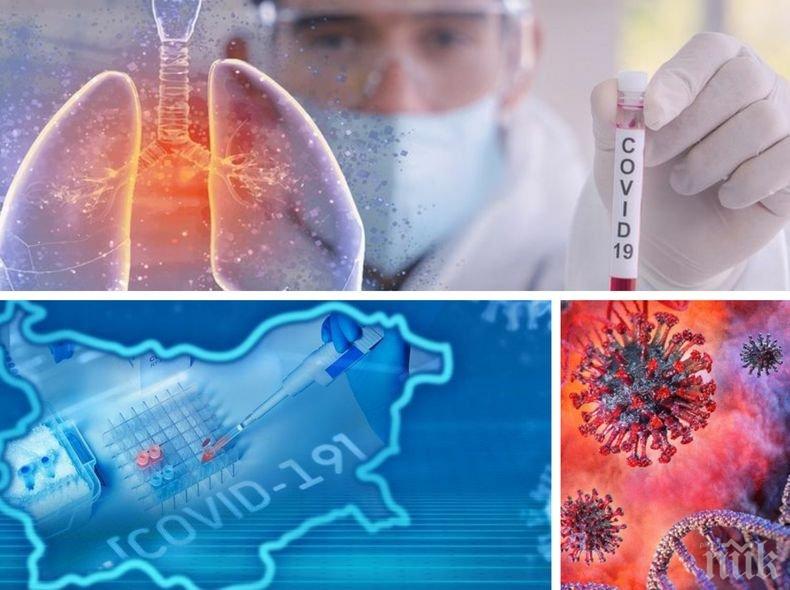 УЖАСЯВАЩИ ДАННИ! 3146 нови случая на COVID-19 у нас. Починалите за денонощието са 189