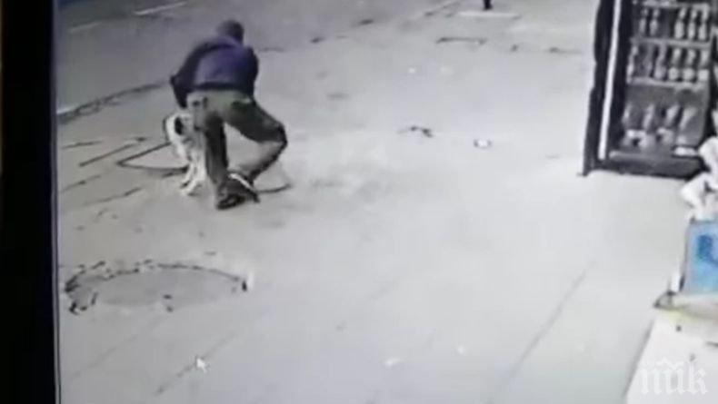 ИЗВЕРГ: Мъж намушка куче в столицата