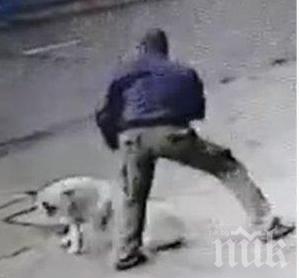 Прокуратурата задържа мъж за зверството над куче