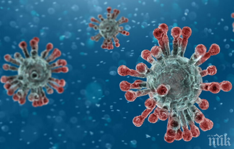 Над 650 хиляди са заразени в света с коронавирус през последното денонощие