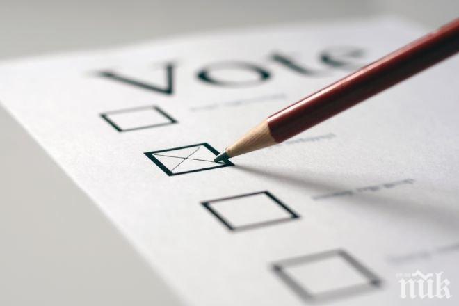 Грузинците гласуват днес на втори тур на парламентарните избори