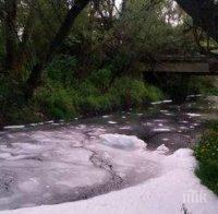 Наказват кмета на Перник за отровените води на Струма