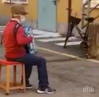 Рекорден брой белоглави лешояди преброиха в Източните Родопи