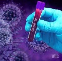 Над 16 000 новозаразени с коронавируса във Франция за денонощие