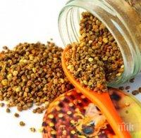 Пчелният прашец - природен антибиотик и бомба от витамини