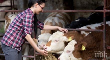 агростатистиката преброи земеделските стопанства