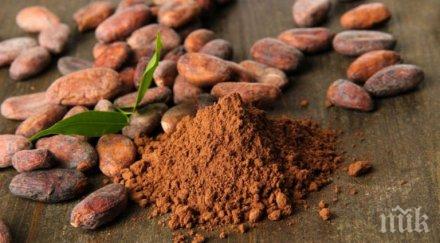 дар природата какаото подобрява работата мозъка