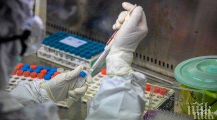 социалните домове възрастни монтанско справиха коронавируса