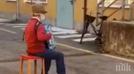 рекорден брой белоглави лешояди преброиха източните родопи