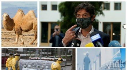 нова заплаха немски вирусолог бие камбаната идва един щам убиец заразата пренася камили семейството covid