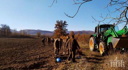 залесяват благун липа преслав