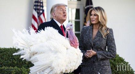 тръмп помилва пуйките кочан царевица