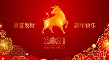 китайската година белия метален вол носи пари работа