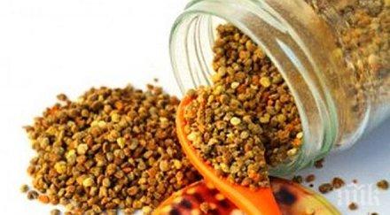 пчелният прашец природен антибиотик бомба витамини