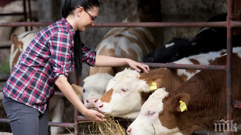 Агростатистиката преброи земеделските стопанства