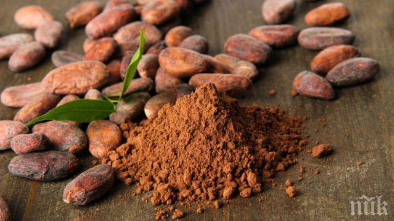 В какаото се съдържа химическо съединение, което скоро да стане