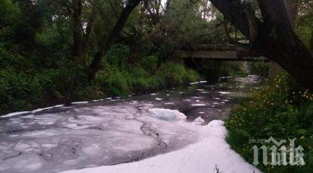 Наказват кмета на Перник за отровените води на Струма