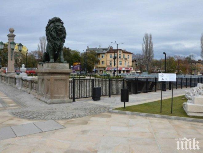 Прокуратурата в София се самосезира за брутално нападение над  жена на „Лъвов мост“