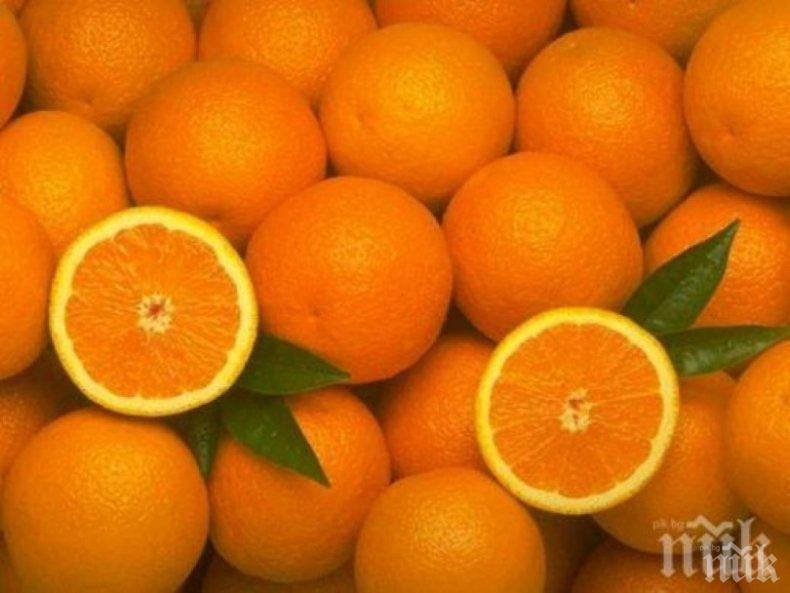 Ето как портокалите могат да ни помогнат в борбата срещу COVID-19