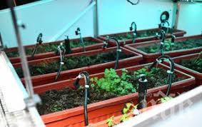 БАН показва онлайн най-богатата сбирка от растения на Балканския полуостров