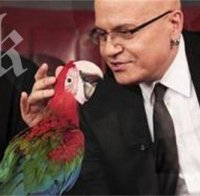 Говорещ папагал ще партнира на Слави Трифонов в шоуто