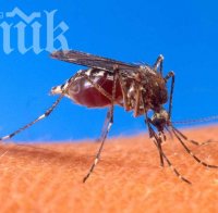 Нилска треска уби 11 души в Сърбия