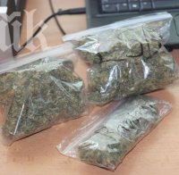 Сръбски митничари спипаха българин със 100 кг марихуана