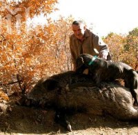 Обясниха на ловци кога могат да стрелят по кучета