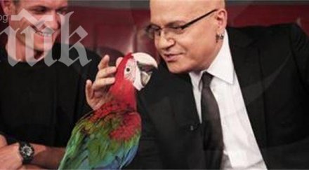 говорещ папагал партнира слави трифонов шоуто