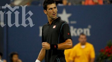 джокович мачка йорк наниза два лешника