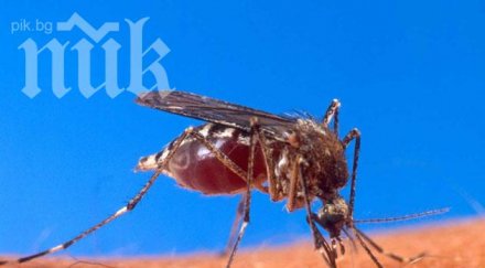 нилска треска уби души сърбия