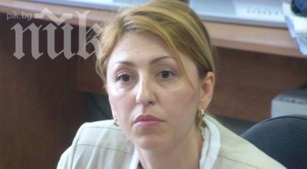 владимира янева бави мотиви дела месеци години