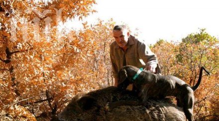 обясниха ловци стрелят кучета