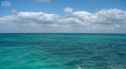 варна изпревари пловдив втора община българия