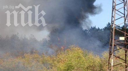 пламна парк боровец ямбол