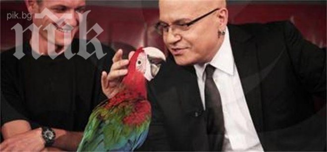 Говорещ папагал ще партнира на Слави Трифонов в шоуто