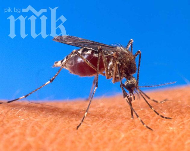 Нилска треска уби 11 души в Сърбия