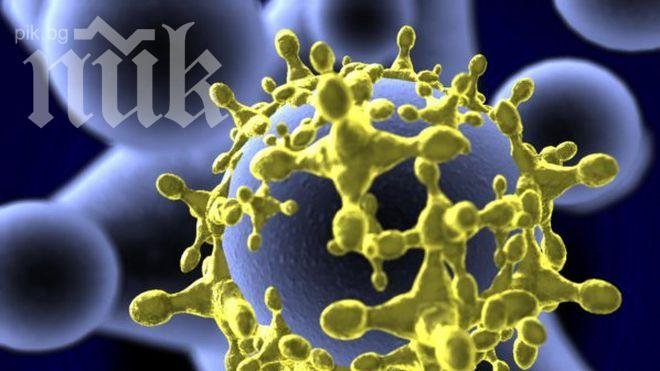320 000 неизвестни вируса заплашват човечеството