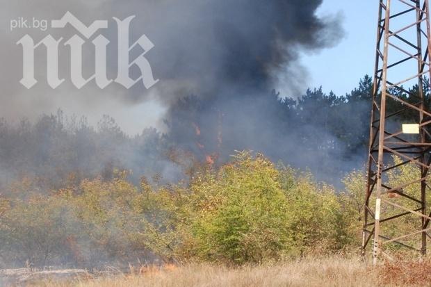 Пламна парк Боровец край Ямбол