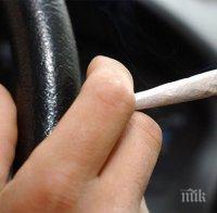 Откриха 700 грама марихуана в дома на дрогиран шофьор