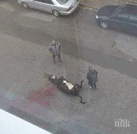 Мъж закла крава на улица пред жилищен блок