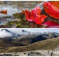 ВРЕМЕТО ЗАСТУДЯВА! Новата седмица идва с дъжд и падащи температури (КАРТА)
